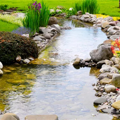 Schönes Hobby Gartenteich: Tipps & Ideen rund um die Ufergestaltung