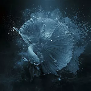 Aquaristik Gutscheine