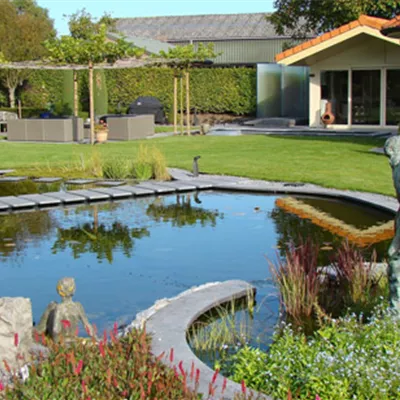 Gartenteich im Sommer: DAS ist bei Hitze besonders wichtig