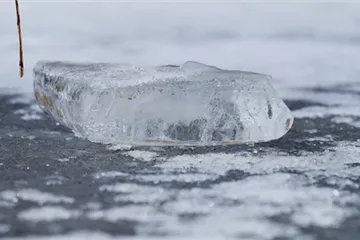 Teichfische überwintern: Das muss man beachten