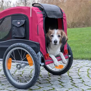 Der Hunde-Anh&#228;nger: Mehr als nur ein Trend