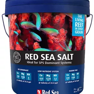 Red Sea Meersalz Eimer
