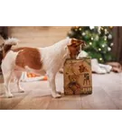 Hunde und Katzen Gutscheine