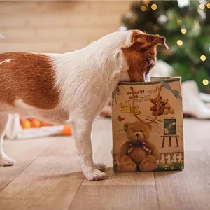 Hunde und Katzen Gutscheine