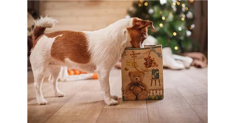 Hunde und Katzen Gutscheine