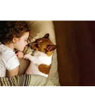 Hunde und Katzen Gutscheine