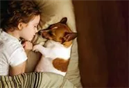 Hunde und Katzen Gutscheine