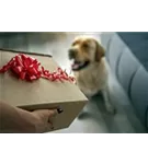 Hunde und Katzen Gutscheine