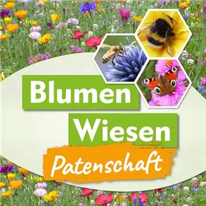 Patenschaft f&#252;r Wildblumenwiese