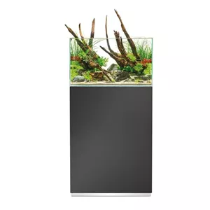 Oase ScaperLine Set - Aquascaping Aquarien