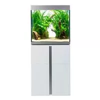 Fluval Siena 160 Komplett Aquarium