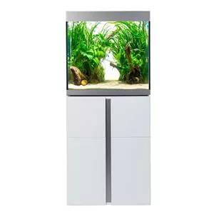 Fluval Siena 160 Komplett Aquarium