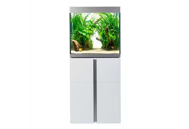 Fluval Siena 160 Komplett Aquarium