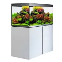 Fluval Siena 270 Komplett Aquarium