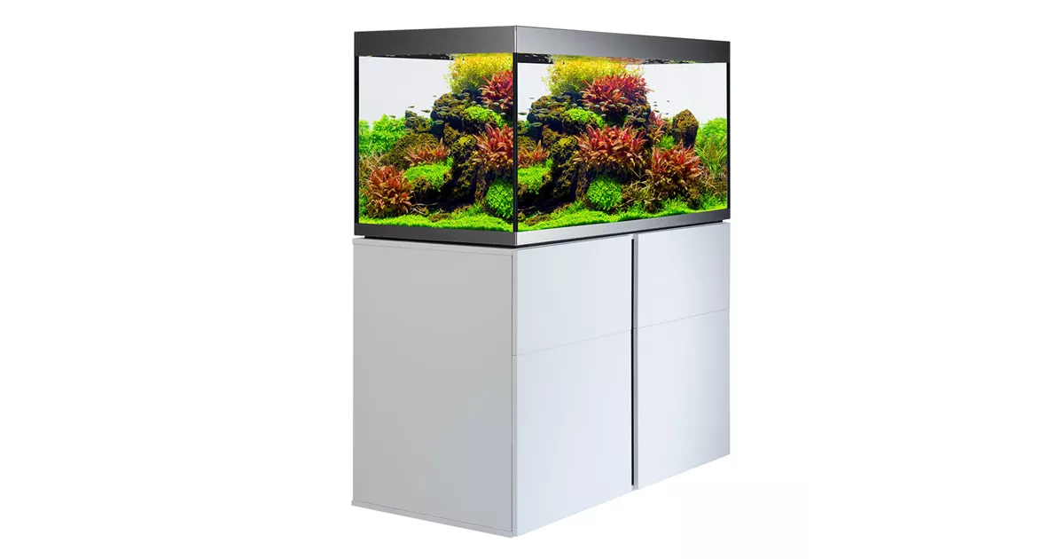 Fluval Siena 270 Komplett Aquarium