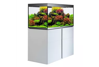 Fluval Siena 270 Komplett Aquarium