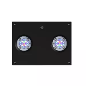 AI Hydra HD 32 LED schwarz 