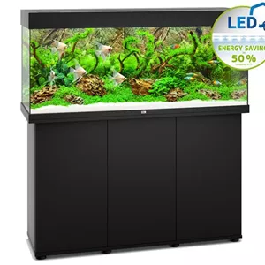 Juwel Rio 240 LED Komplett Aquarium