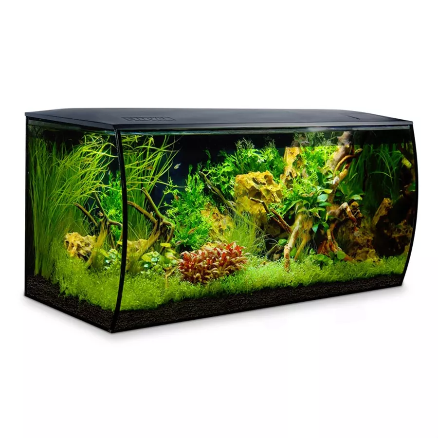 Fluval Flex 123 Liter Aquarium Set