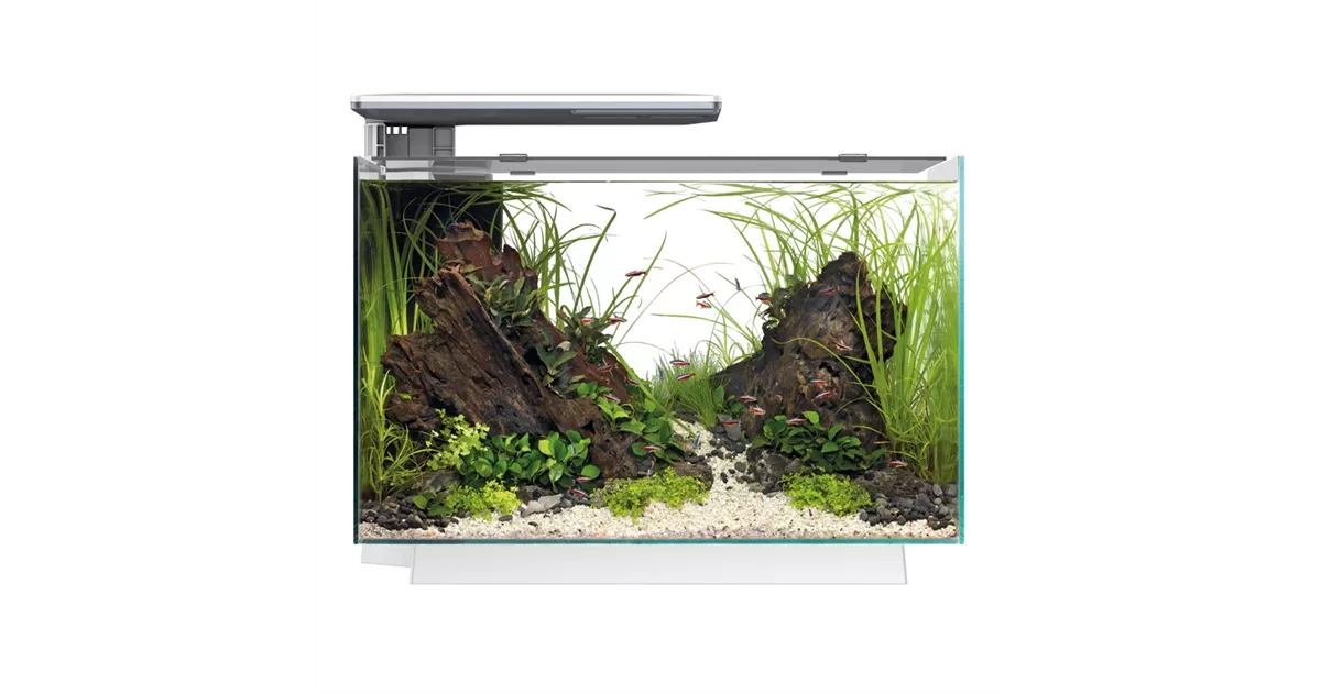 SuperFish Quadro 70 Pro - Design-Aquarium 