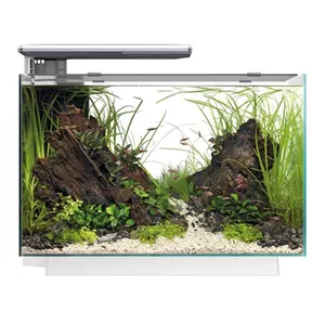 SuperFish Quadro 70 Pro - Design-Aquarium 