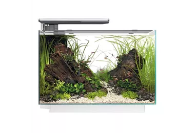 SuperFish Quadro 70 Pro - Design-Aquarium