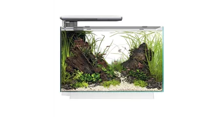 SuperFish Quadro 70 Pro - Design-Aquarium