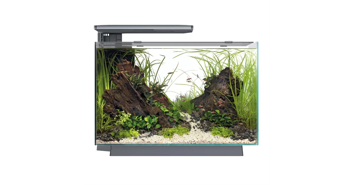 SuperFish Quadro 70 Pro - Design-Aquarium 