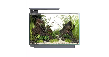 SuperFish Quadro 70 Pro - Design-Aquarium 
