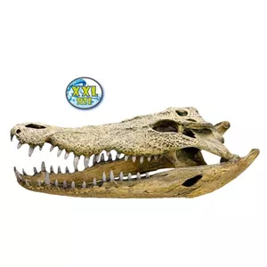 Aqua Ornaments Krokodil Sch&#228;del - Aquarium-Dekoration