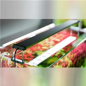Chihiros B-Serie LED Aquariumleuchte inkl. Bluetooth-Steuerung