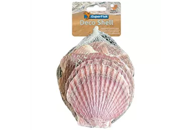 SuperFish Deko Muschel - natürliche Dekoration