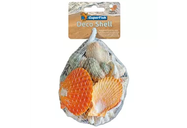 SuperFish Deko Muschel - natürliche Dekoration