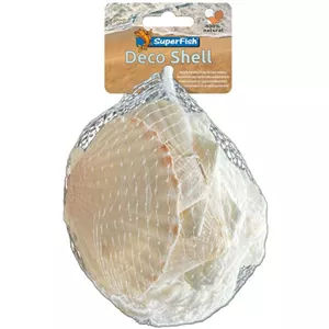 SuperFish Deko Muschel - natürliche Dekoration