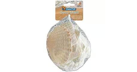 SuperFish Deko Muschel - natürliche Dekoration