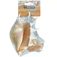 SuperFish Deko Muschel - natürliche Dekoration