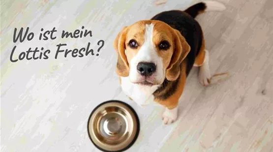 Hund Lottis Fresh_web.jpg
