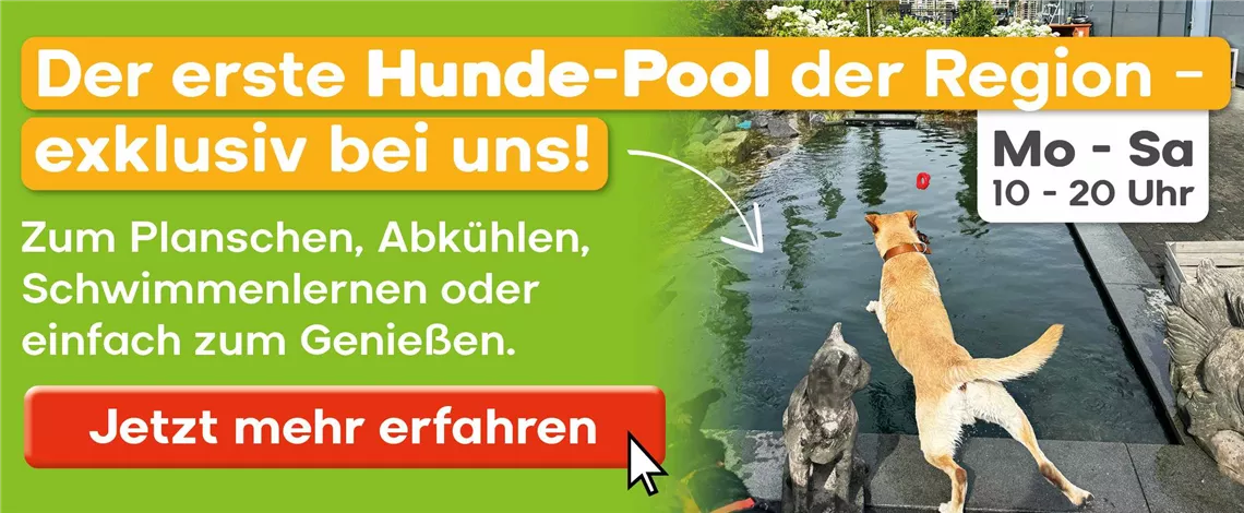 Slider_Hundepool_web.jpg