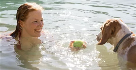 Hund schwimmen lernen tipps.jpg