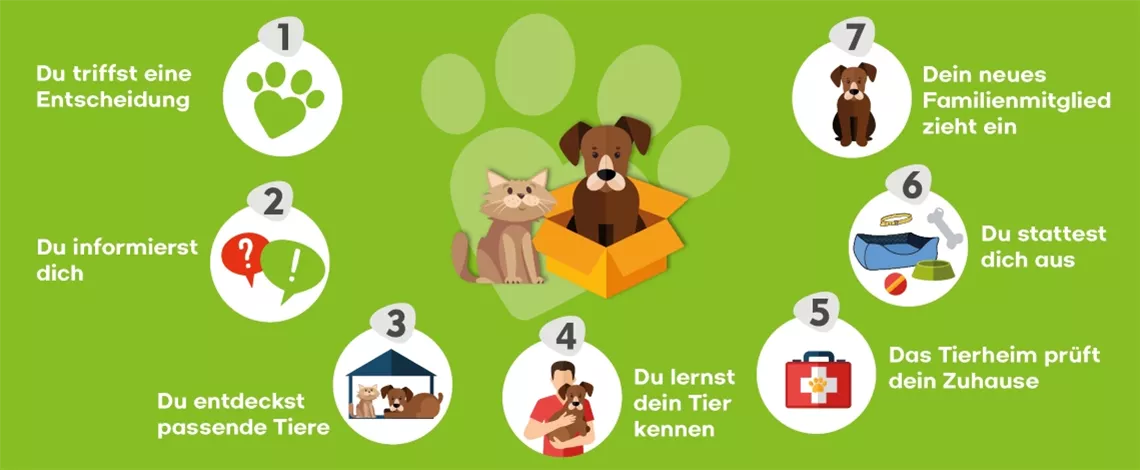 Ein fuer immer Zuhause_Bild_1140 x 470 px.jpg