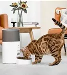 AstroPet Taurus - Futterautomat mit App-Steuerung