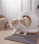 AstroPet Neptune - Selbstreinigende Katzentoilette App gesteuert