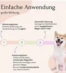 FAVLY Petfood Gastro Pulver - Sodbrennen & Grasfressen 300g