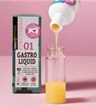 FAVLY Petfood Gastro Liquid - Darmaufbau mit Priobiotika 30ml