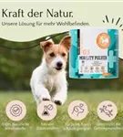 FAVLY Petfood Mobility Pulver - Bewegungsunlust & Gelenkprobleme 250g