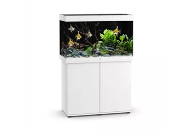 Juwel Rio 290 LED SBX Komplett-Aquarium