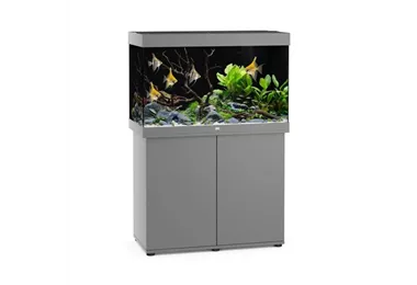 Juwel Rio 290 LED SBX Komplett-Aquarium