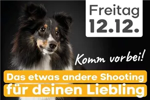 Das etwas andere Shooting für deinen Liebling!