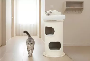 AstroPet Bamboo Tower L - Katzenturm