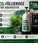 CO2-Füllservice für Aquaristik